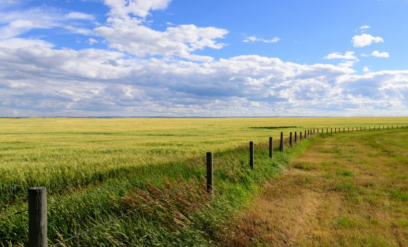Prairie landscape
