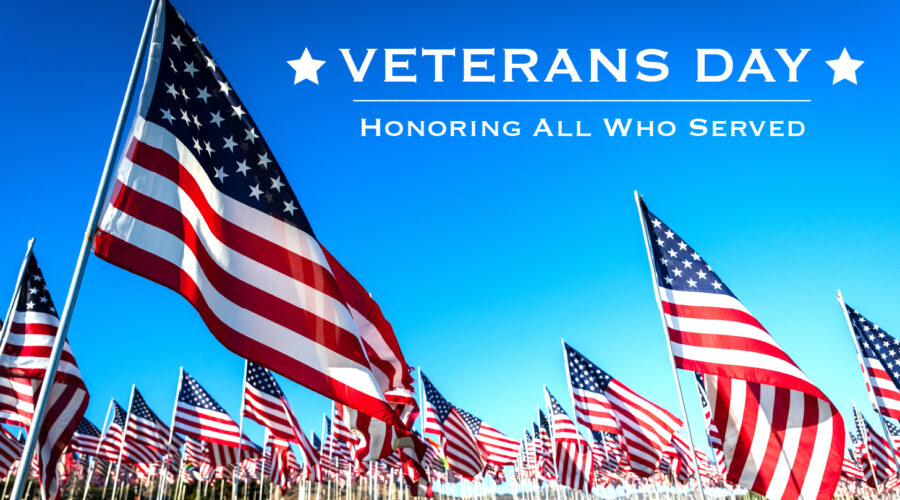 Honoring Our Veterans: Thank You for Your Service