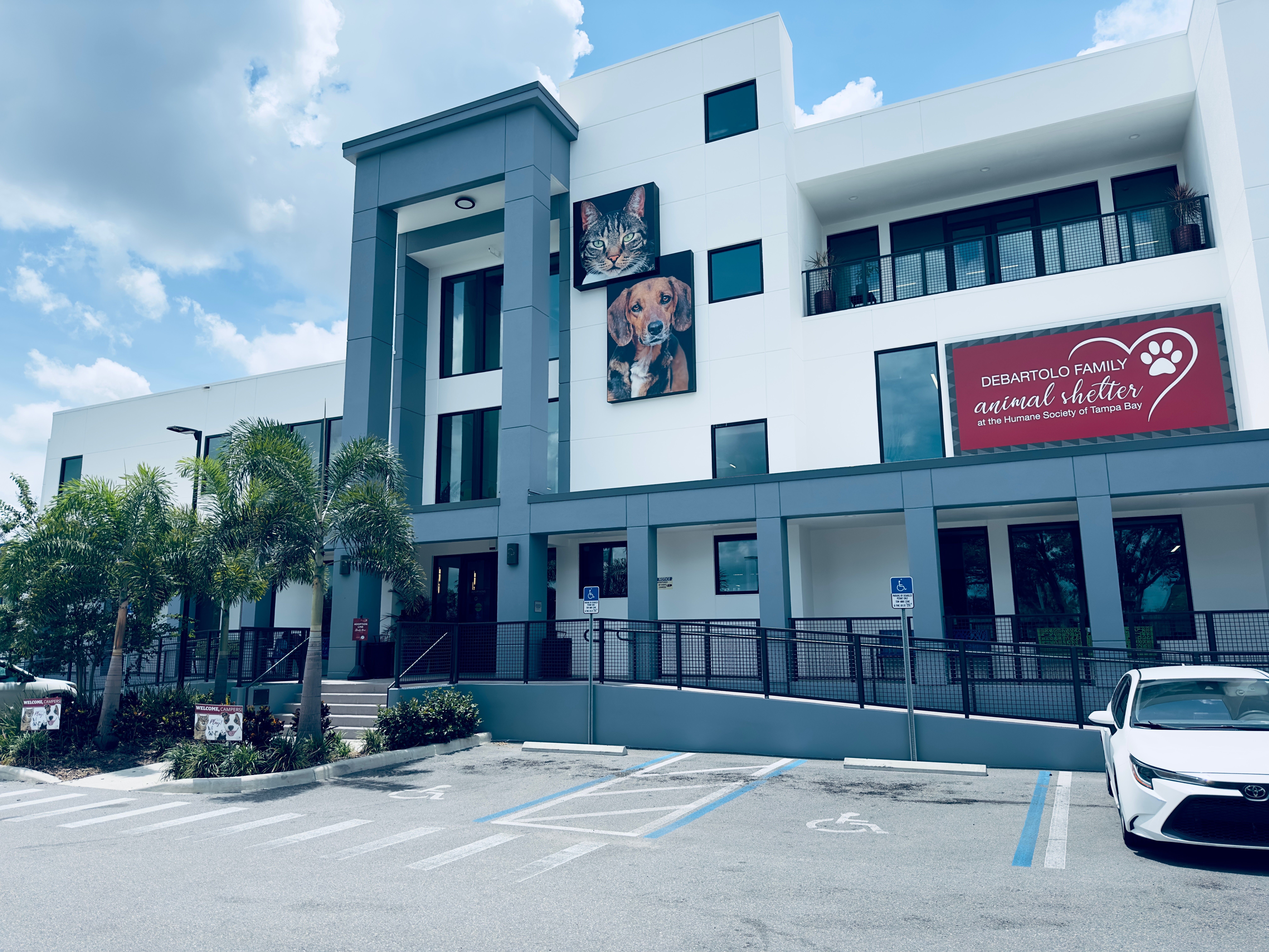 Animal shelter, no-kill shelters, Animal Protective Assocation, government control, pet adoption